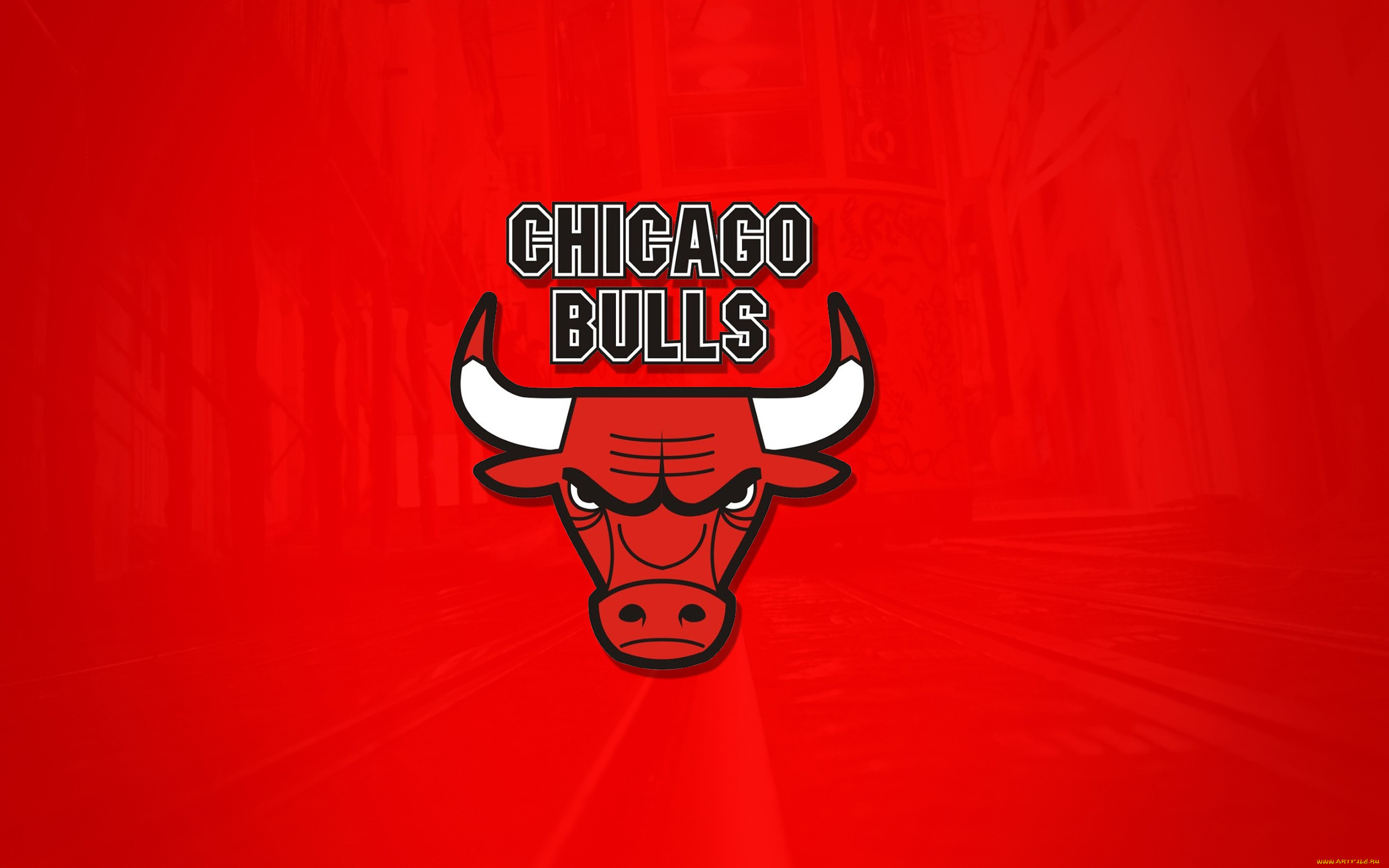 ,  , chicago, bulls, , 